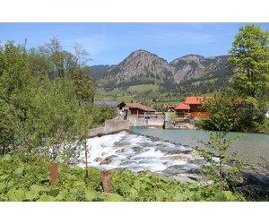 Mai 2012 im Allgäu (13)